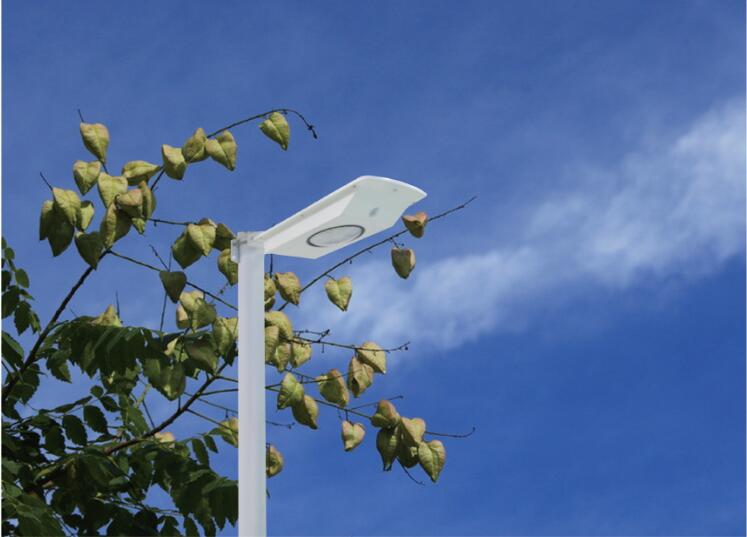  New Arrival 6w Aluminum solar LED Security Light