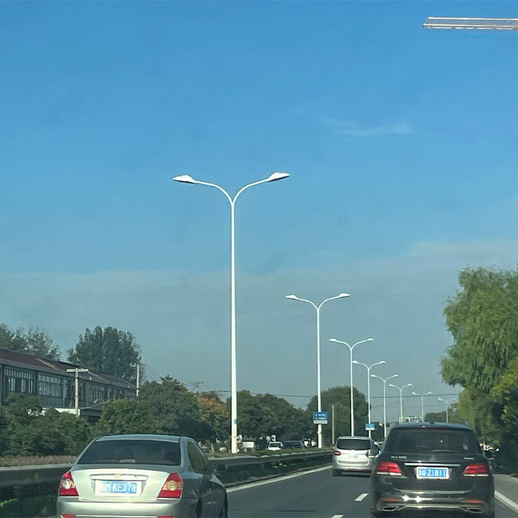 Professional Waterproof Galvanized Custom Street Lamp Pole